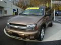 2002 TrailBlazer LS 4x4 #8