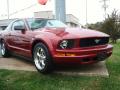 2005 Mustang V6 Deluxe Coupe #7