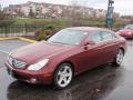 2006 CLS 500 #2