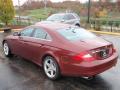 2006 CLS 500 #8