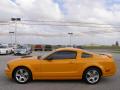 2007 Mustang GT Premium Coupe #6