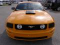 2007 Mustang GT Premium Coupe #8