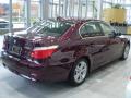 2010 5 Series 528i xDrive Sedan #2