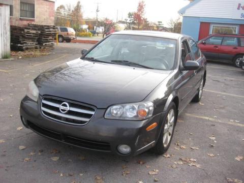 Gray Lustre Nissan Maxima GLE.  Click to enlarge.