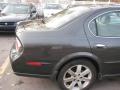 2003 Maxima GLE #14