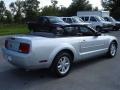 2007 Mustang V6 Deluxe Convertible #8