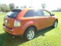 2007 Edge SE #9