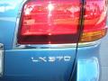 2010 LX 570 #21
