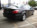 2008 5 Series 528xi Sedan #8