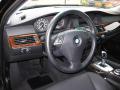 2008 5 Series 528xi Sedan #13