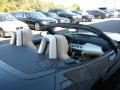 2009 Z4 sDrive30i Roadster #12