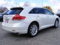 2009 Venza I4 #3