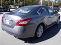 2010 Maxima 3.5 S #5