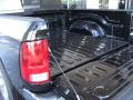 2010 Ram 1500 Laramie Crew Cab #9