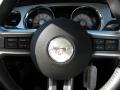 2010 Mustang V6 Premium Coupe #18