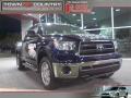 2010 Tundra X-SP Double Cab #2
