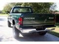 1999 Ram 2500 ST Regular Cab 4x4 #9