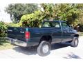 1999 Ram 2500 ST Regular Cab 4x4 #12