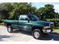 1999 Ram 2500 ST Regular Cab 4x4 #17