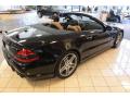 2009 SL 63 AMG Roadster #23