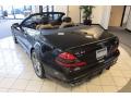 2009 SL 63 AMG Roadster #28