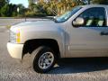 2008 Silverado 1500 LS Crew Cab #25