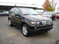 2006 X5 4.4i #7