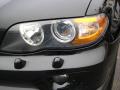 2006 X5 4.4i #9