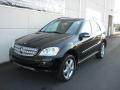2008 ML 350 4Matic #2
