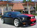 2006 Mustang GT Premium Coupe #1