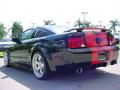 2006 Mustang GT Premium Coupe #7