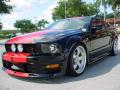 2006 Mustang GT Premium Coupe #9