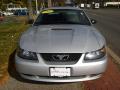 2002 Mustang V6 Coupe #3