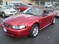 2004 Mustang V6 Convertible #1