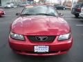 2004 Mustang V6 Convertible #2