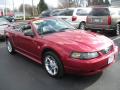 2004 Mustang V6 Convertible #3