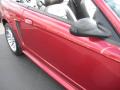 2004 Mustang V6 Convertible #5