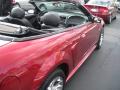 2004 Mustang V6 Convertible #6