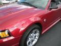 2004 Mustang V6 Convertible #11