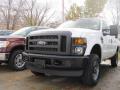2010 F250 Super Duty XL Regular Cab 4x4 #1