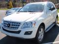 2010 ML 350 4Matic #1