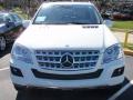 2010 ML 350 4Matic #2