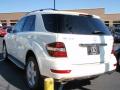 2010 ML 350 4Matic #7