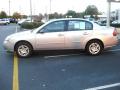 2007 Malibu LS Sedan #2