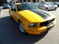 2008 Mustang V6 Deluxe Coupe #1