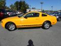 2008 Mustang V6 Deluxe Coupe #2