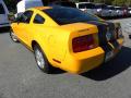 2008 Mustang V6 Deluxe Coupe #12