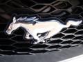 2008 Mustang V6 Deluxe Coupe #23