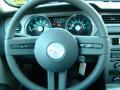 2010 Mustang V6 Coupe #16