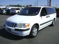 1999 Venture  #1